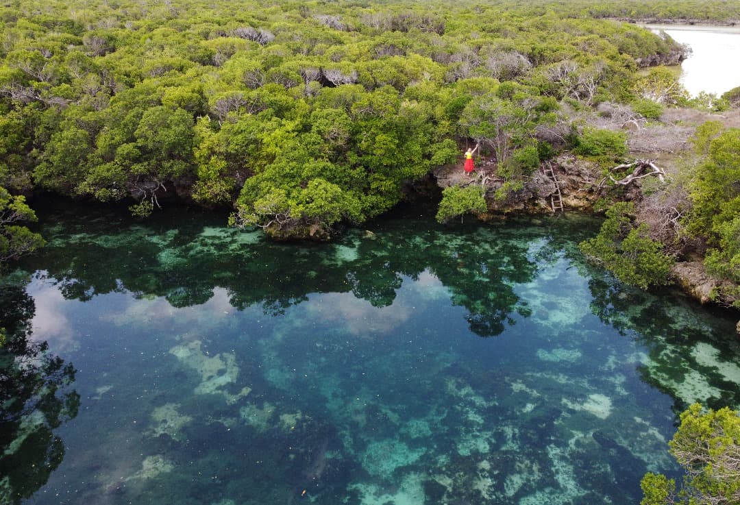 Blue Lagoon Swim